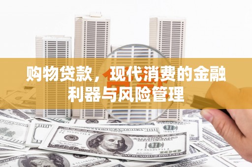 东乡族购物贷款，现代消费的金融利器与风险管理