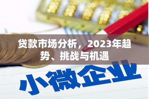 东乡族贷款市场分析，2023年趋势、挑战与机遇