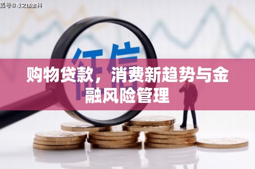 东乡族购物贷款，消费新趋势与金融风险管理