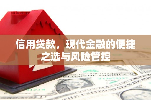 东乡族信用贷款，现代金融的便捷之选与风险管控