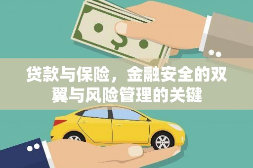 东乡族贷款与保险，金融安全的双翼与风险管理的关键