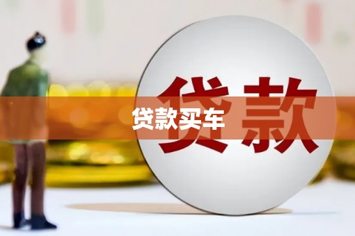 东乡族贷款买车