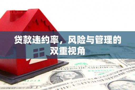 东乡族贷款违约率，风险与管理的双重视角