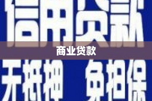 东乡族商业贷款