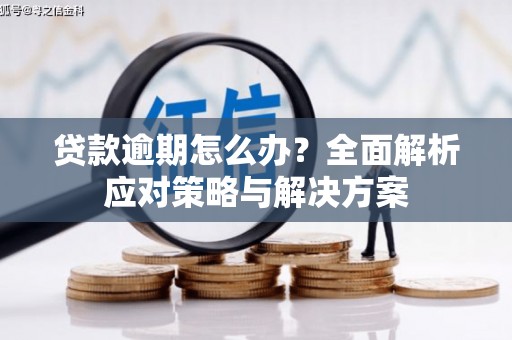 东乡族贷款逾期怎么办？全面解析应对策略与解决方案