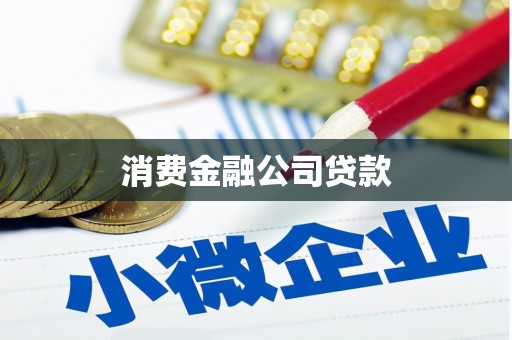 东乡族消费金融公司贷款