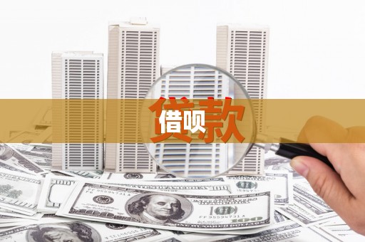 东乡族借呗