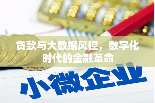 东乡族贷款与大数据风控，数字化时代的金融革命