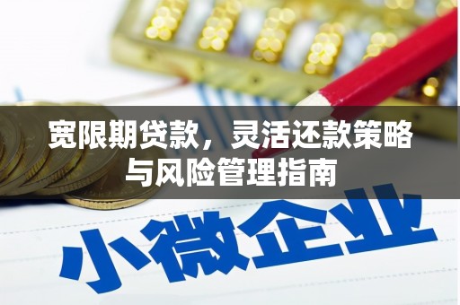 东乡族宽限期贷款，灵活还款策略与风险管理指南