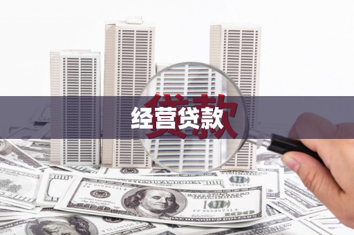 东乡族经营贷款