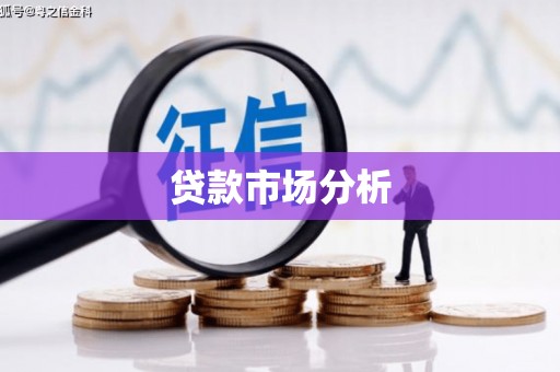 东乡族贷款市场分析
