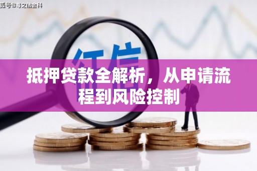 东乡族抵押贷款全解析，从申请流程到风险控制