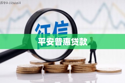 东乡族平安普惠贷款