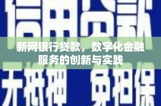 东乡族新网银行贷款，数字化金融服务的创新与实践