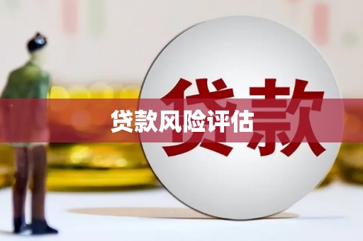 东乡族贷款风险评估