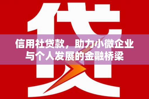 东乡族信用社贷款，助力小微企业与个人发展的金融桥梁