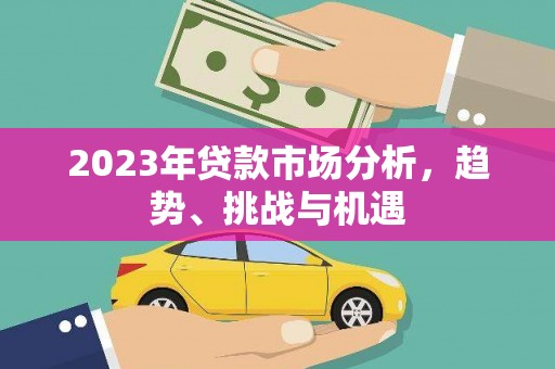 东乡族2023年贷款市场分析，趋势、挑战与机遇