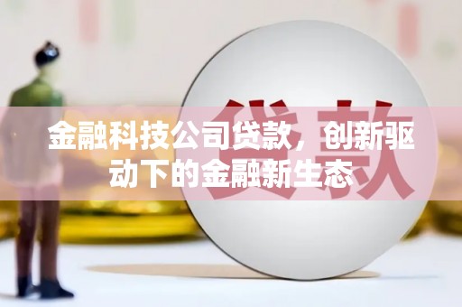东乡族金融科技公司贷款，创新驱动下的金融新生态
