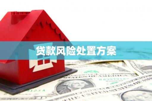 东乡族贷款风险处置方案