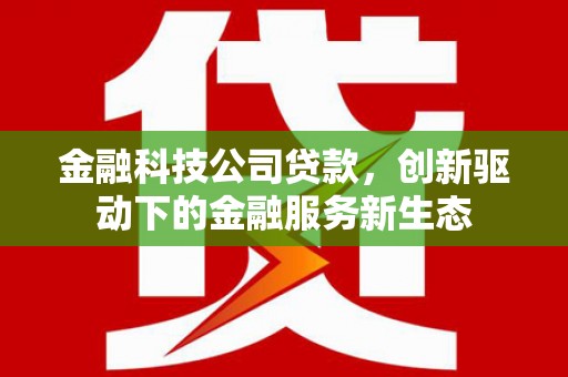 东乡族金融科技公司贷款，创新驱动下的金融服务新生态