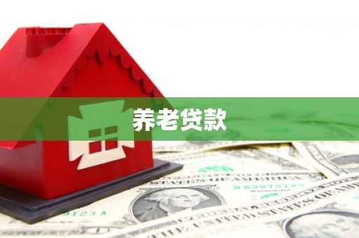 东乡族养老贷款