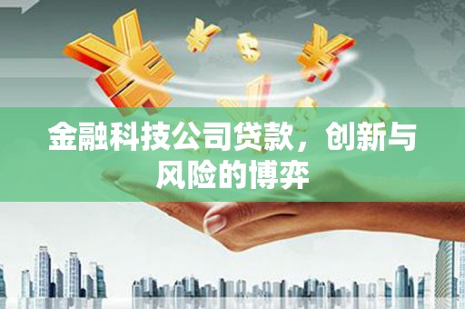 东乡族金融科技公司贷款，创新与风险的博弈