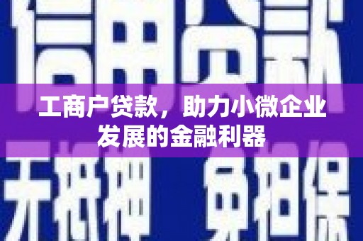 东乡族工商户贷款，助力小微企业发展的金融利器