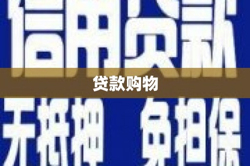 东乡族贷款购物