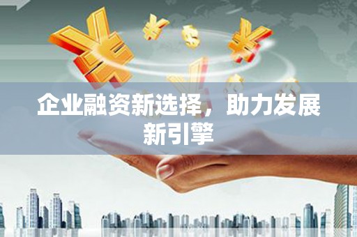 东乡族企业融资新选择，助力发展新引擎