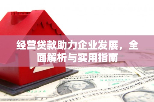 东乡族经营贷款助力企业发展，全面解析与实用指南