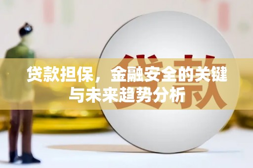 东乡族贷款担保，金融安全的关键与未来趋势分析