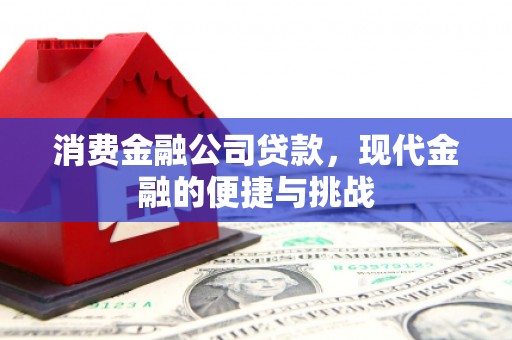 东乡族消费金融公司贷款，现代金融的便捷与挑战