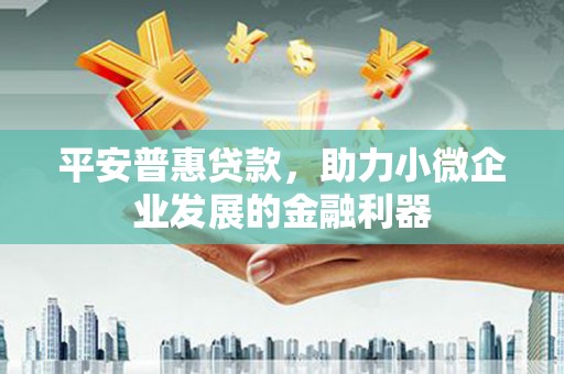 东乡族平安普惠贷款，助力小微企业发展的金融利器