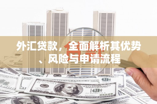 东乡族外汇贷款，全面解析其优势、风险与申请流程