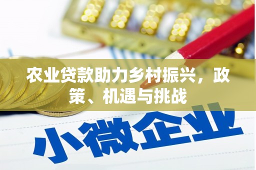 东乡族农业贷款助力乡村振兴，政策、机遇与挑战