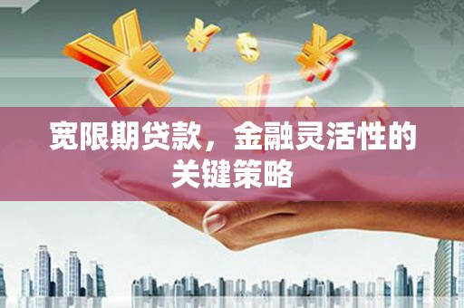 东乡族宽限期贷款，金融灵活性的关键策略