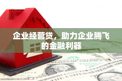 东乡族企业经营贷，助力企业腾飞的金融利器