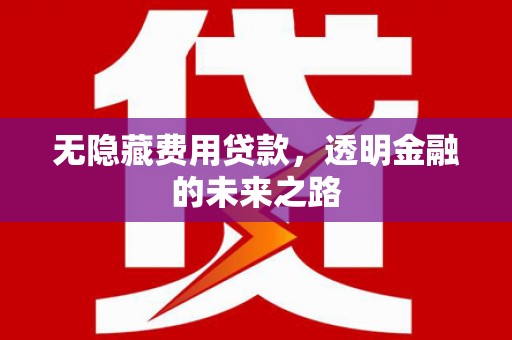 东乡族无隐藏费用贷款，透明金融的未来之路