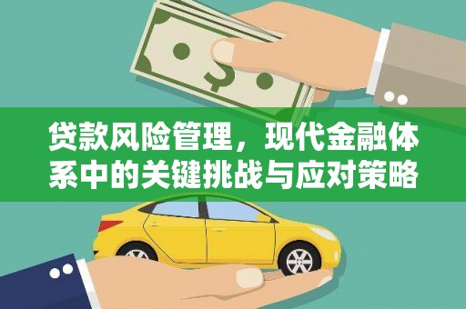 东乡族贷款风险管理，现代金融体系中的关键挑战与应对策略