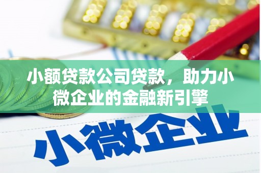 东乡族小额贷款公司贷款，助力小微企业的金融新引擎