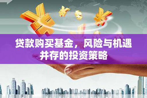 东乡族贷款购买基金，风险与机遇并存的投资策略