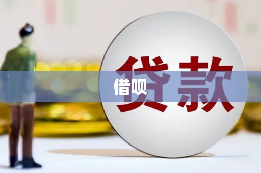 东乡族借呗