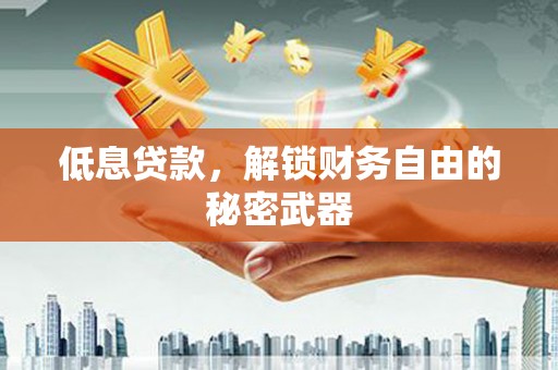 东乡族低息贷款，解锁财务自由的秘密武器