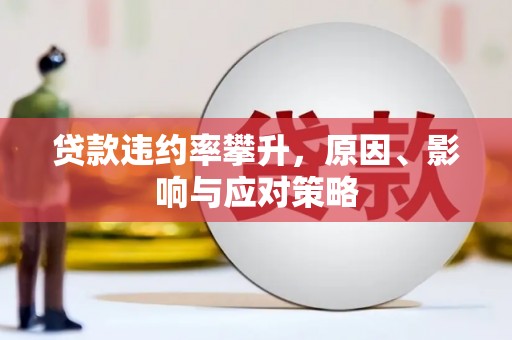 东乡族贷款违约率攀升，原因、影响与应对策略