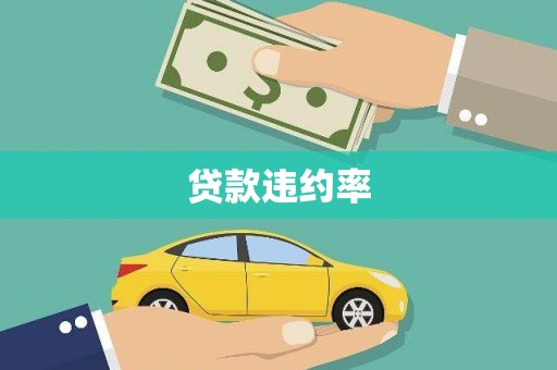 东乡族贷款违约率