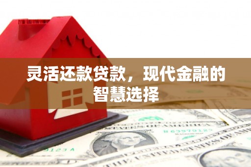 东乡族灵活还款贷款，现代金融的智慧选择