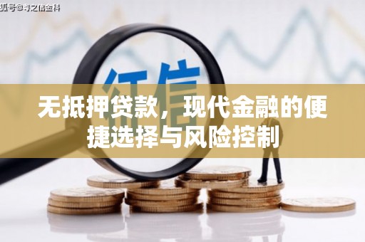 东乡族无抵押贷款，现代金融的便捷选择与风险控制