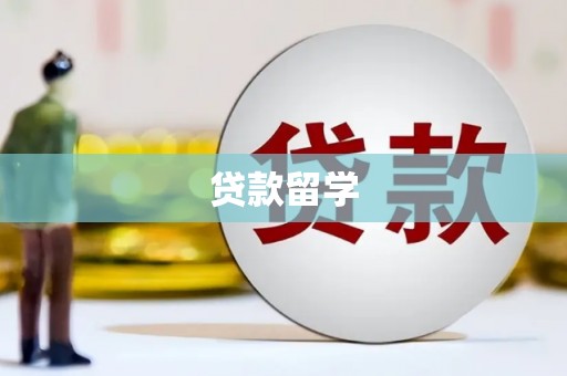 东乡族贷款留学
