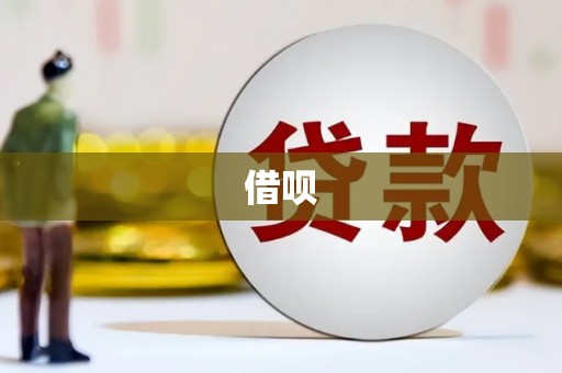 东乡族借呗