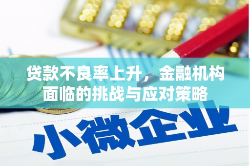 东乡族贷款不良率上升，金融机构面临的挑战与应对策略